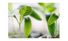 Sphera - Environmental Management System (EMS) Consulting Services