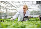 Sustainability & ESG Strategy Development Services