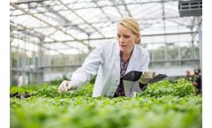 Sustainability & ESG Strategy Development Services