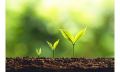Life Cycle Assessment (LCA) & Product Carbon Footprint (PCF) Services