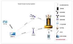 SmartSolo Buoy Monitoring Network