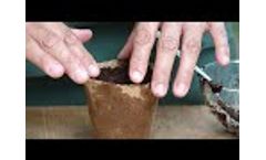 Kits Jard`in All-in-one Video