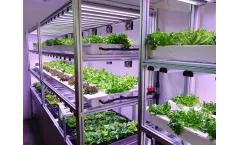 Quick Plug - Vertical Farming