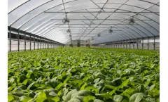 Quick Plug - Hydroponics & Aquaponics