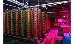 Quick Plug - Aeroponics