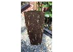 FlexiPlugs - Stabilized Peat Plugs for Professional Grower