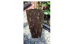 FlexiPlugs - Stabilized Peat Plugs for Professional Grower