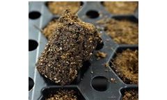 Aero - Growing Plug Media