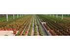 FlexiMix - Cellular Rooting Sponge Technology