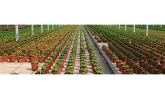 FlexiMix - Cellular Rooting Sponge Technology