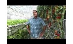 Hydroponic Farming: "Get to Know" a Commercial Hydroponic Farmer Video