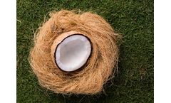 Apex - Coir Fiber