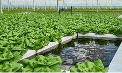 Horticultural Biobased Products for Hydroponics