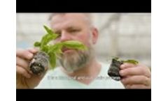 The biodegradation of the Growcoon explained - Video