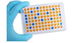 IVS - Model Pro - Cell Culture