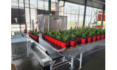 Willburg Projecten - Wide Belt with Push Over Unit