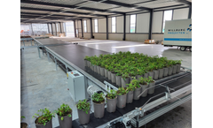 Willburg Projecten - Collect Singulation Conveyor