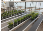 Willburg Projecten - Height Sorting System