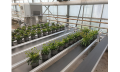 Willburg Projecten - Height Sorting System