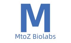 DIA Data Analysis Methods in Proteomics