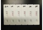 Bioeasy - Model YR1A1001 - Brucella Antibody Rapid Test Cassette (BCL Ab) Result in 10minutes