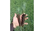 Rogue Biochar - Raw and Non-Inoculated Carbon Soil Amendment