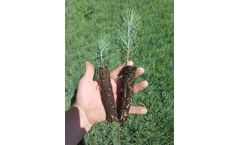Rogue Biochar - Raw and Non-Inoculated Carbon Soil Amendment
