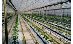 The impact of COVID-19 on the food and agriculture industry