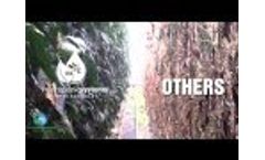 No More Fusarium Problems with Hydroponic Systems Video