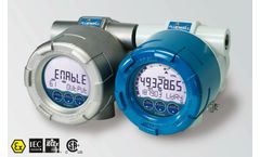 Metri - Model E112 - Flow Logger and Totalizer – Explosion Proof