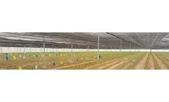 Criado - Plastic for Double Roof