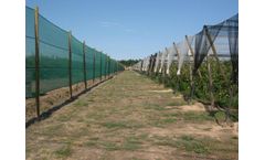 CyLnet - Model 6*6 - Windbreak / Mosquito Net