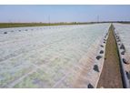 CyLnet - Model 10*8 - Anti-Insect Net