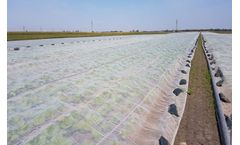 CyLnet - Model 10*8 - Anti-Insect Net