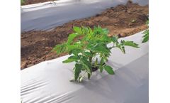 Criado - Plastic Mulch