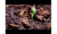 Kopie van Time Laps - Phenotyping Video