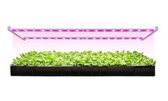 Koray - Model ARZ2H - Hydroponic Vertical  Farming Grow Light