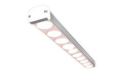 Koray - Model GH50 - Full Spectrum Strawberry Grow Light