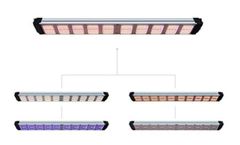 Koray - Model G320 - 4 Channels Toplighting LED Grow Light