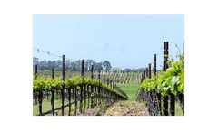Agrow - Vertical Shoot Positioning (VSP) Trellis System