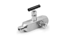 Baldota - Gauge Valves