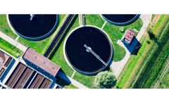 Sewage sludge to phosphorus fertilizer