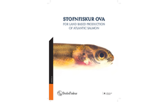 Stofnfiskur OVA - Brochure