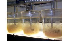 Ketpol - Flocculants (Polyelectrolytes)