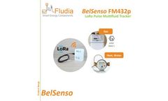 Fludia - Model FM432e - IoT LoRaWAN Electricity Sensor - User Guide