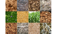Biomass and Waste to Energy Technology for Biomass-to-Energy