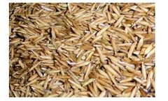 Hydronix Sensors for Measuring Moisture in Parboiled Rice Production