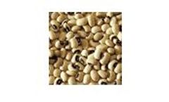 Hydronix Sensors for Beans & Pulses