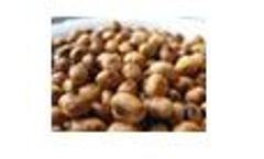 Hydronix Sensors for Soya