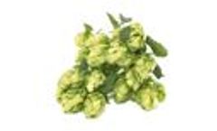 Hydronix Sensors for Hops
